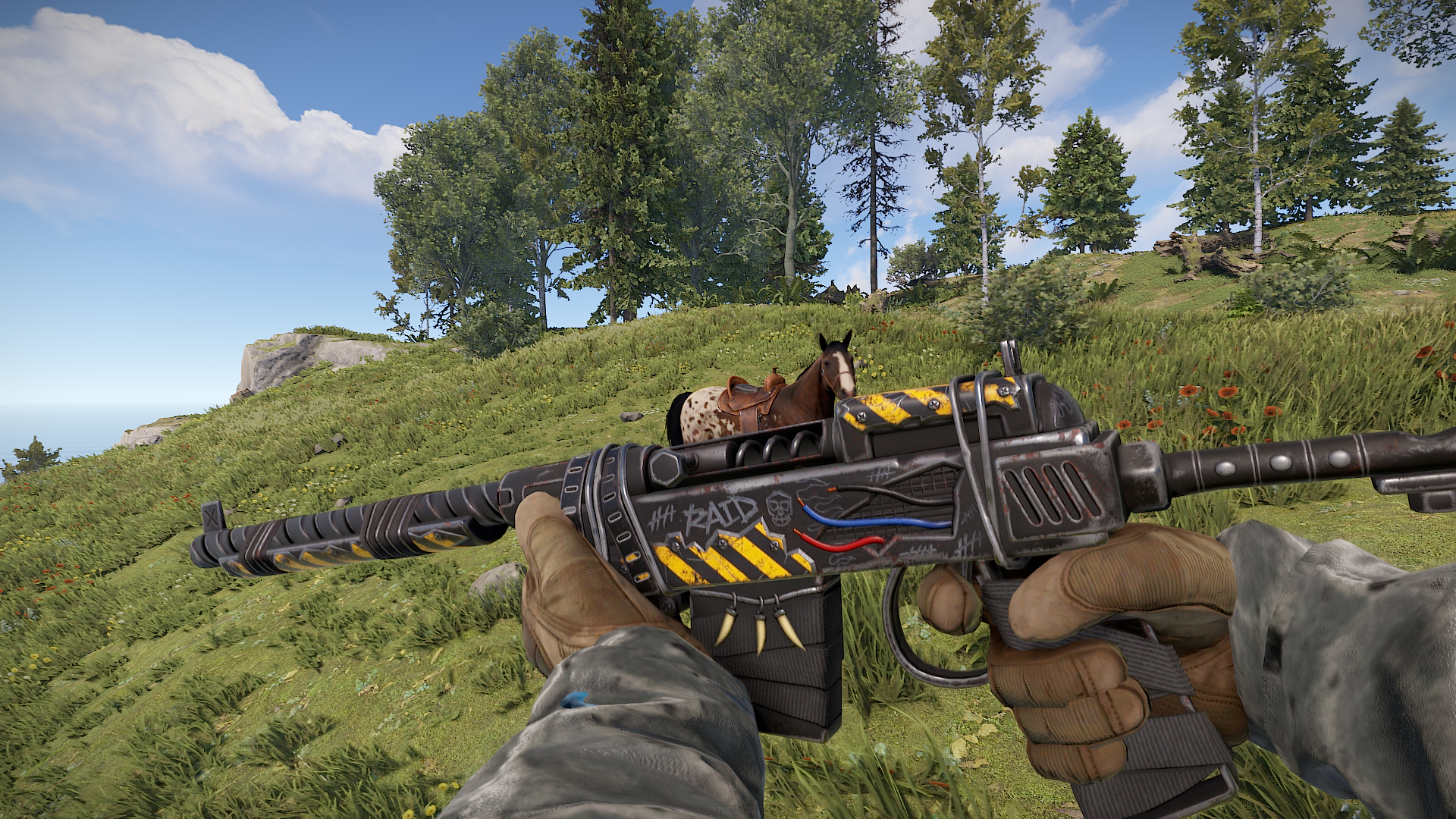 Wasteland SAR