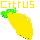 Citrus – tModLoader Mod