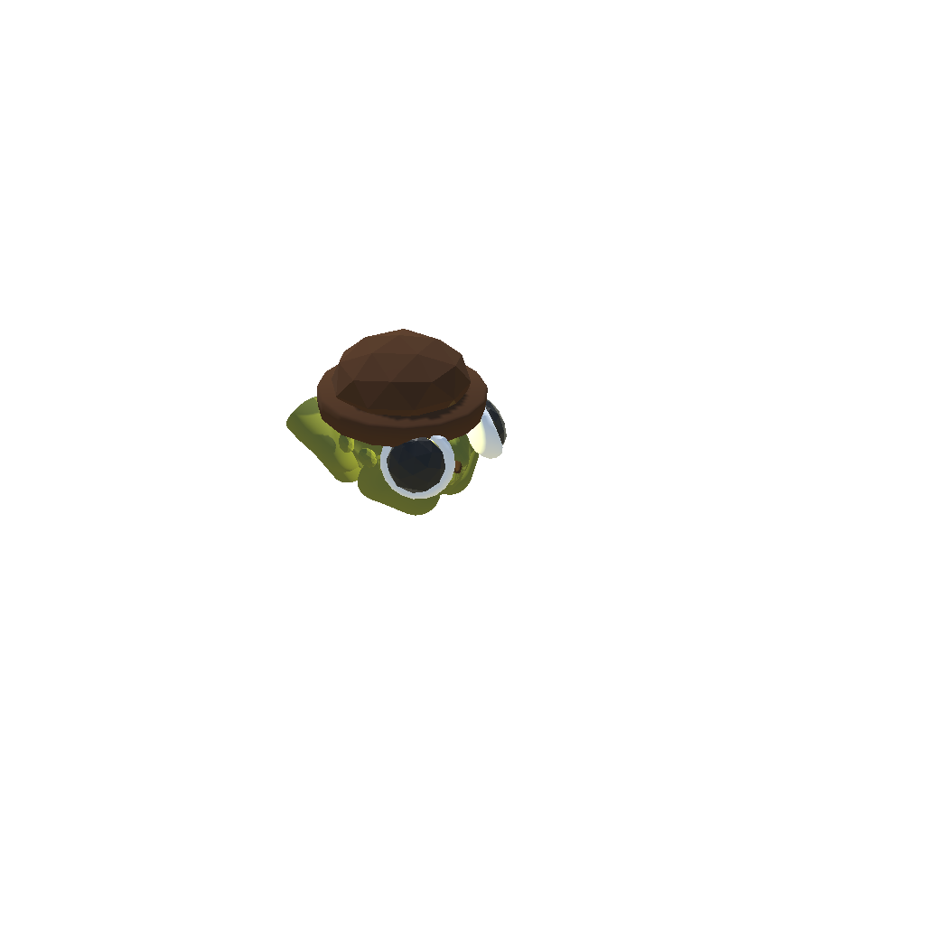 DITECTIVE TOAD