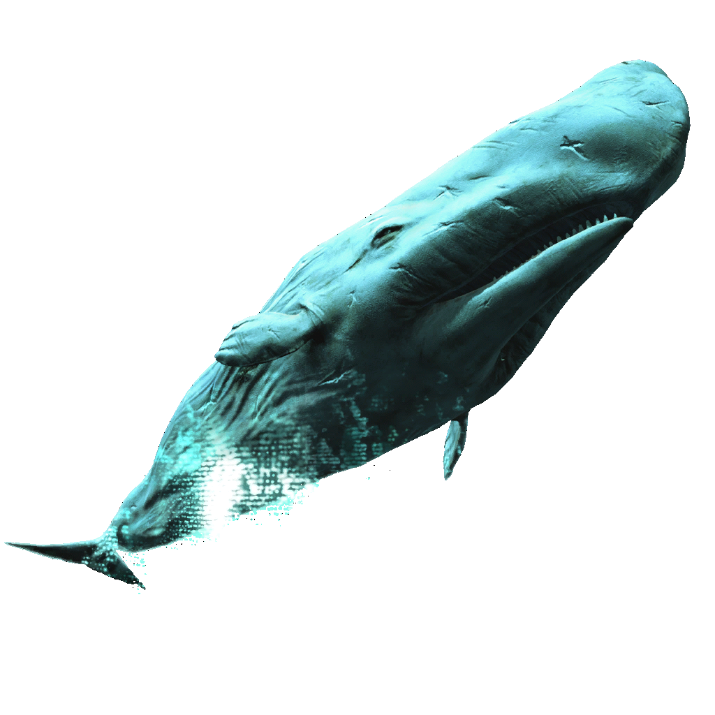 Useful Whaling
