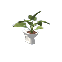 toilet with plant