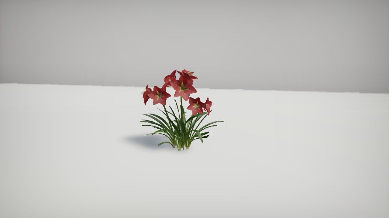 Plantz - Amaryllis Large
