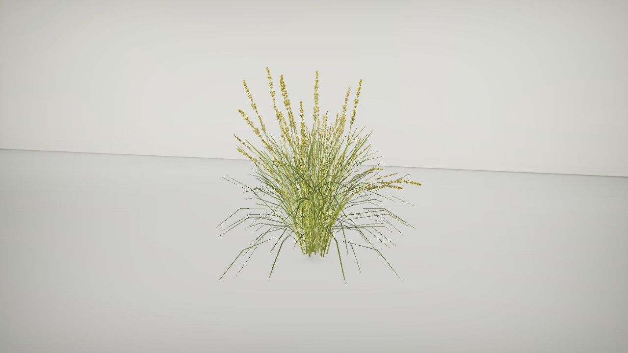 Plantz - Basket Grass