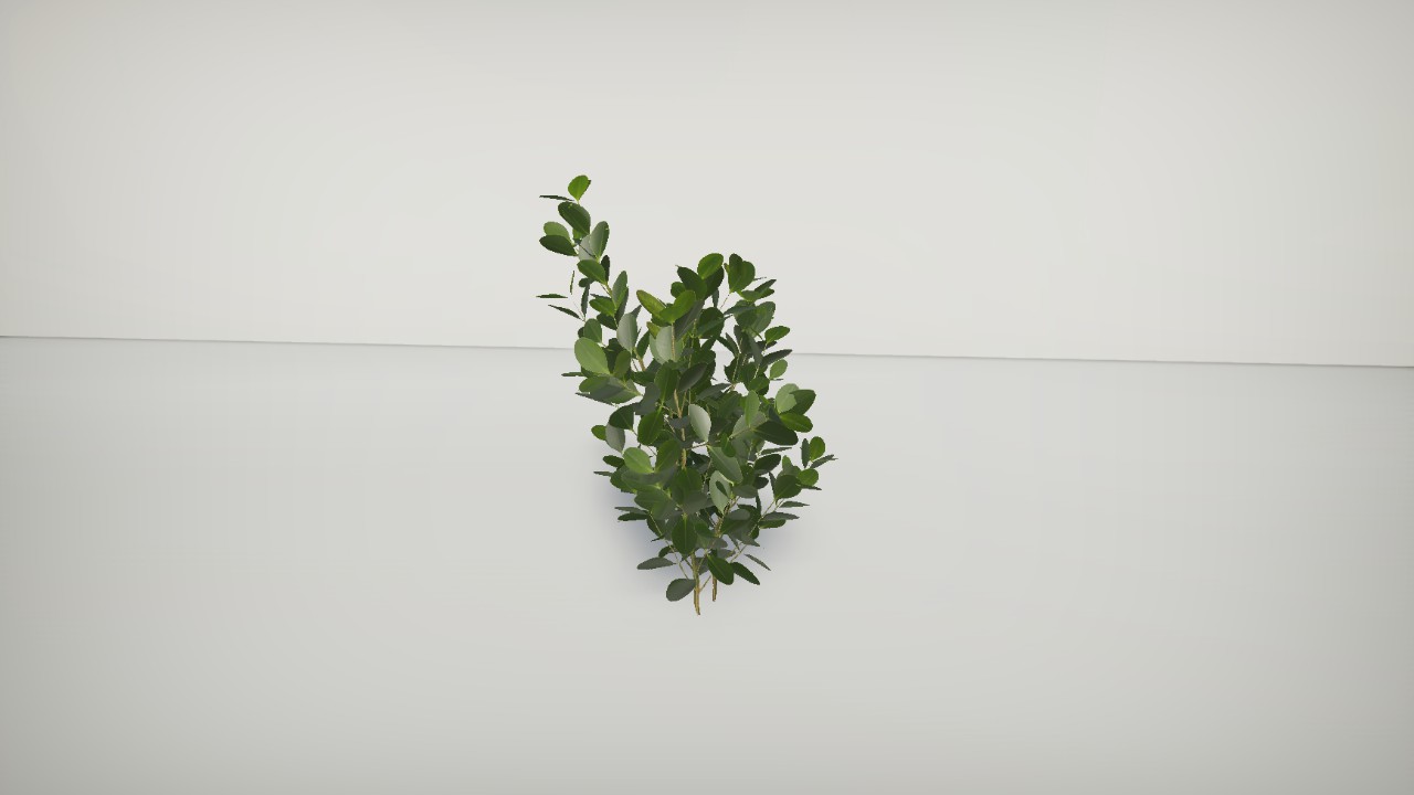 Plantz - Box Plant Small
