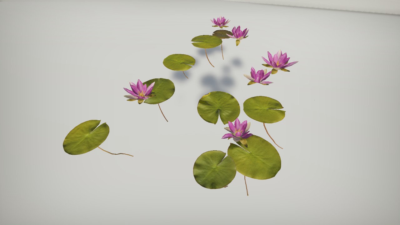 Plantz - Rembrandt Water Lily 2