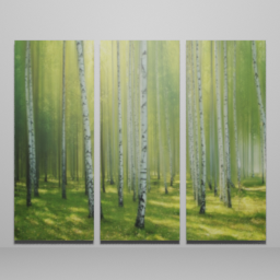 Birch Tree Scene R