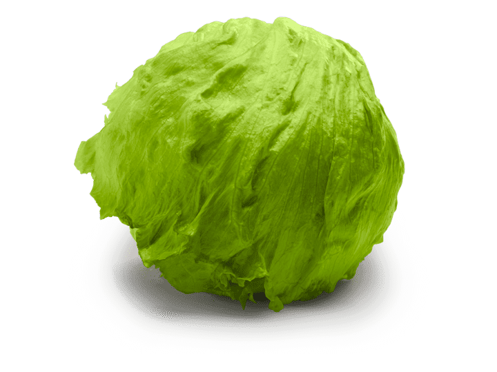 Lettuce