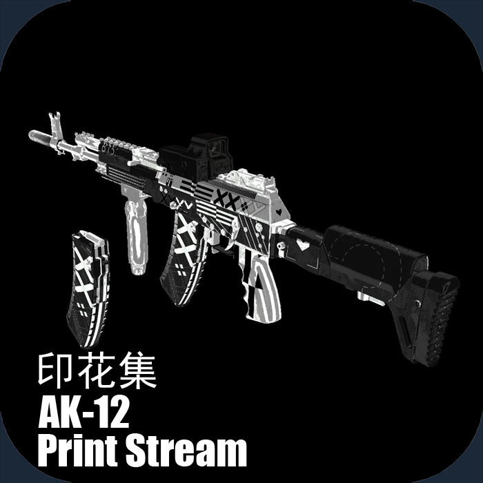 AK-12 Print Stream【印花集】 – Left 4 Dead 2 Mod