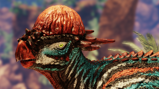Reef Raider Pachy [Summer 2023]