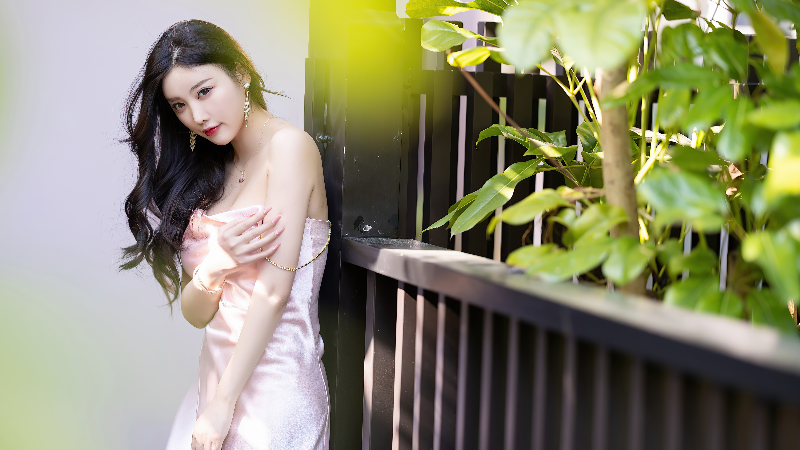 杨晨晨