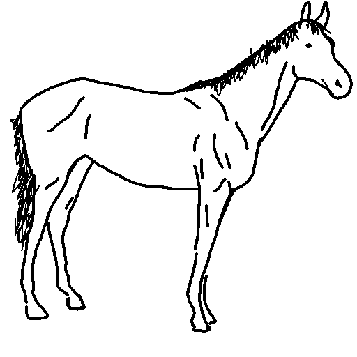 V's Healty Horses preview