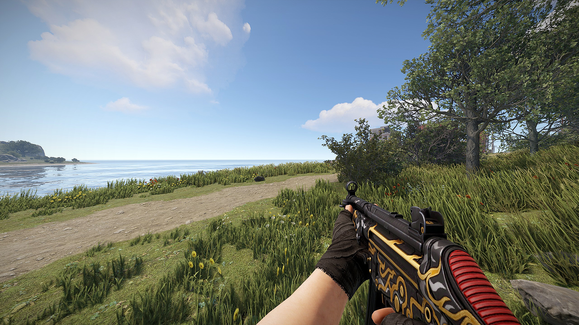Rare Flame MP5