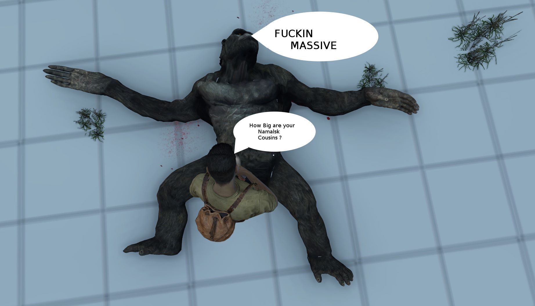 dbo_chimpmanEXP