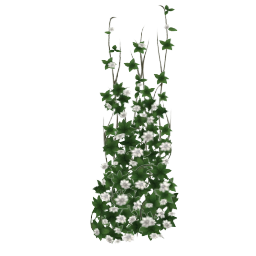 Lei-Up House Flowers White