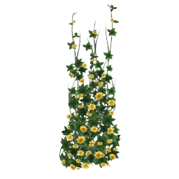 Lei-Up House Flowers Yellow