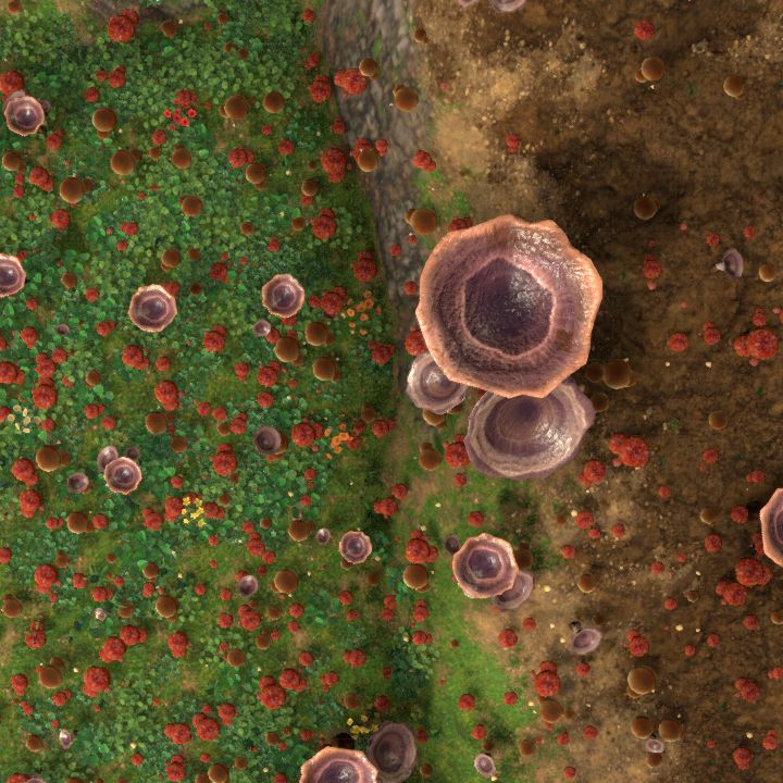 ToD - HotDQ - Ch4 - Fungus Humongous