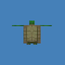 turtle