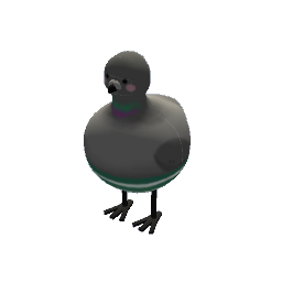 Round Pidgeon