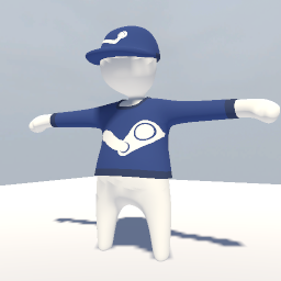 Steam Hat + Shirt