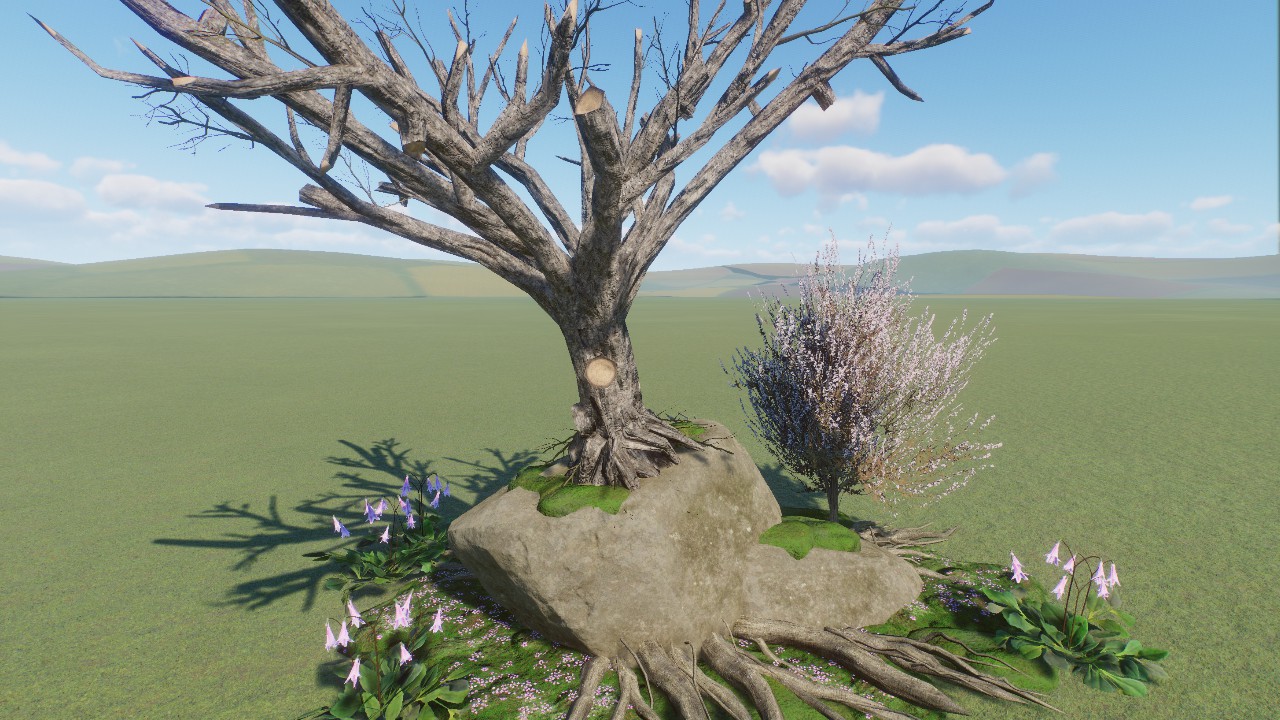 Rotten Tree