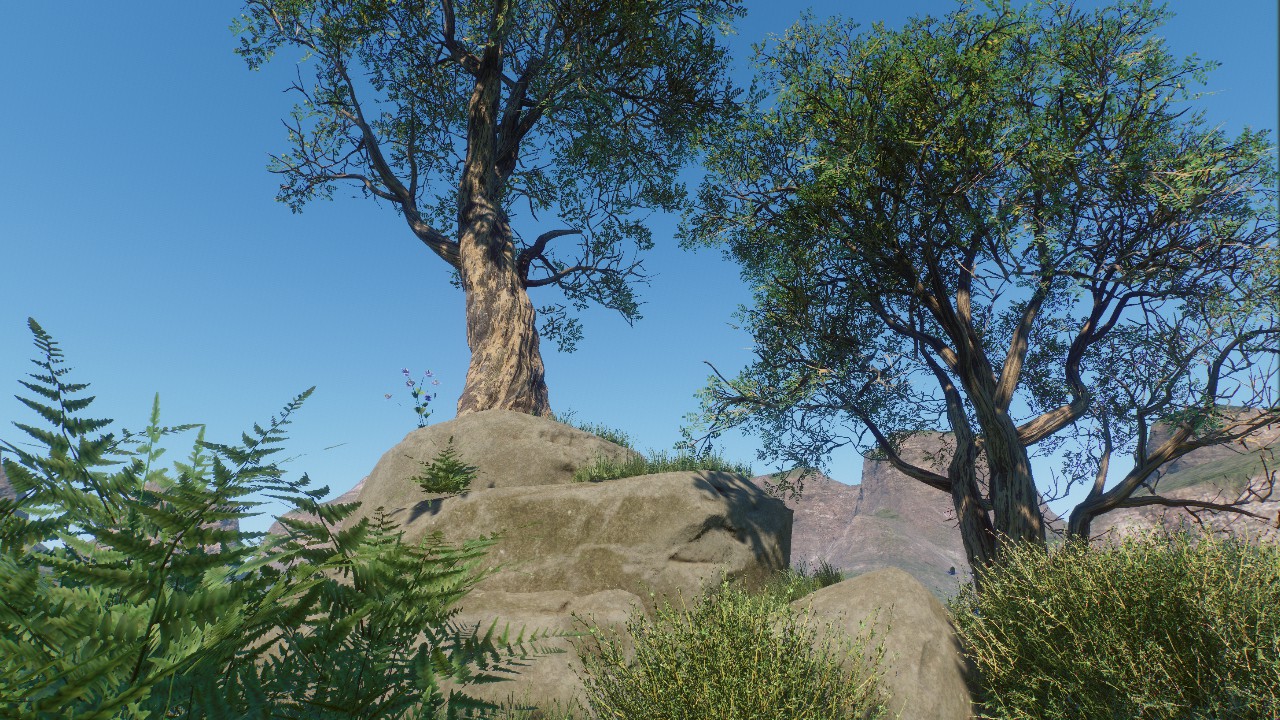 Rockformation With Trees 5