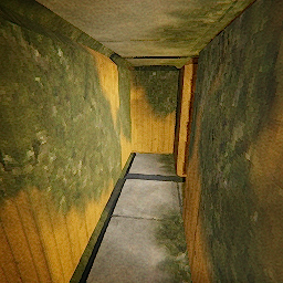 Level0
