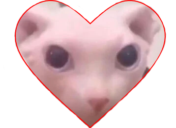Bingus The Mod