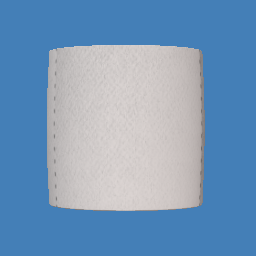 Toilet Paper roll