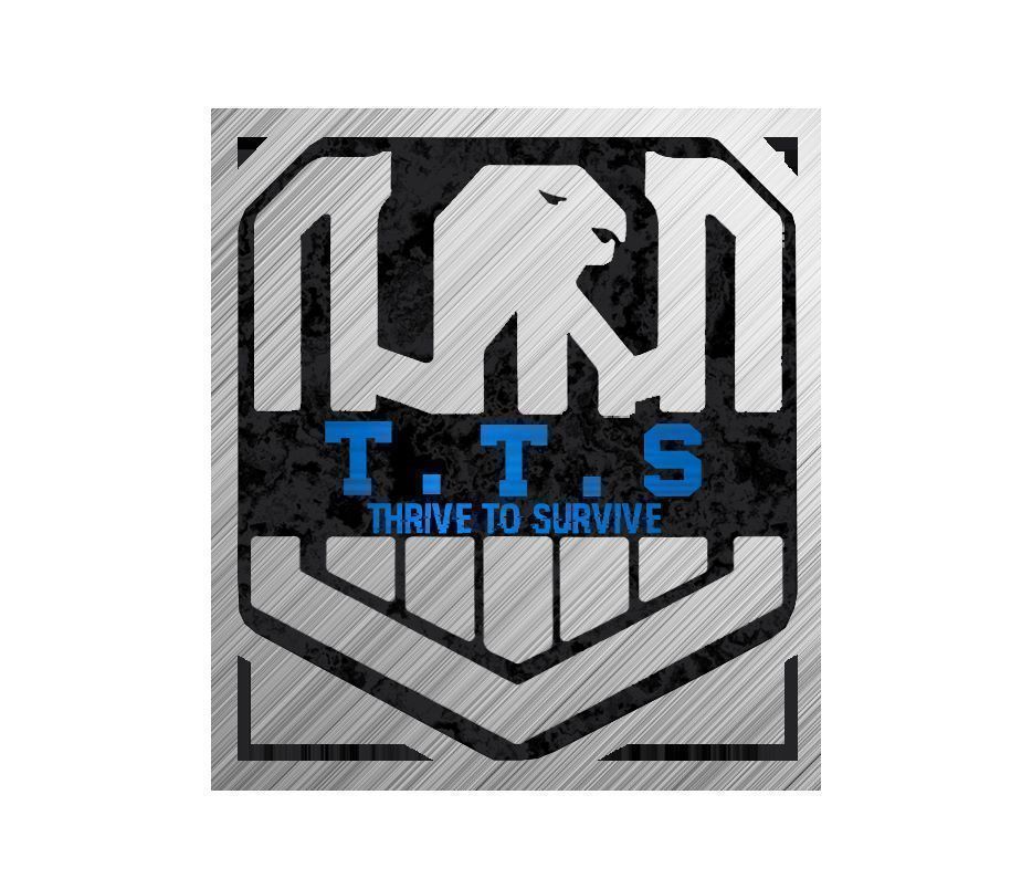 TTSMODPACK