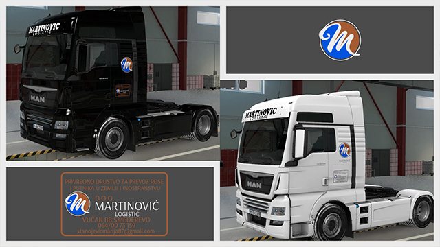 Skin Martinovic Logistic
