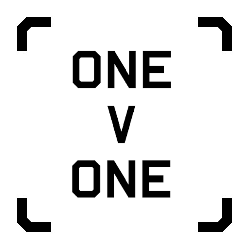1v1