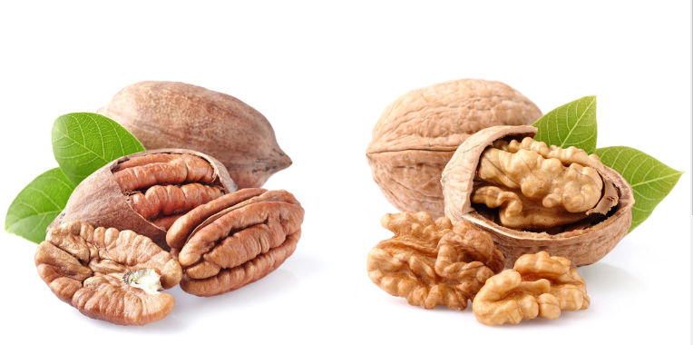 Walnuts and Pecans