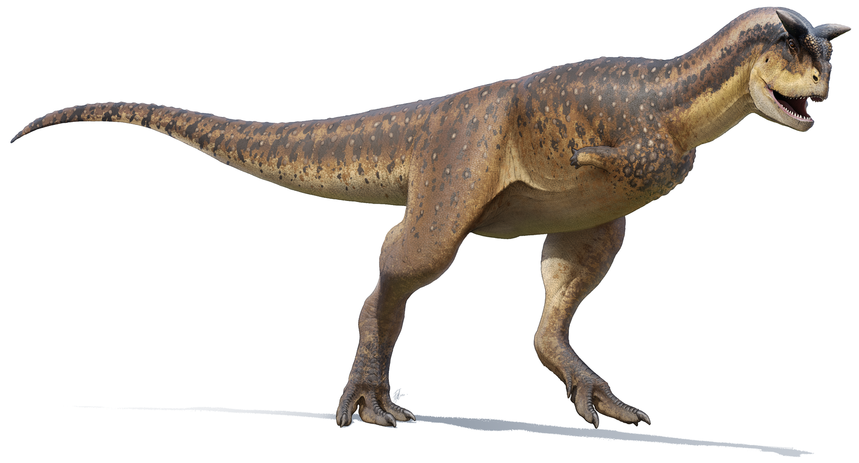 Carno Dino