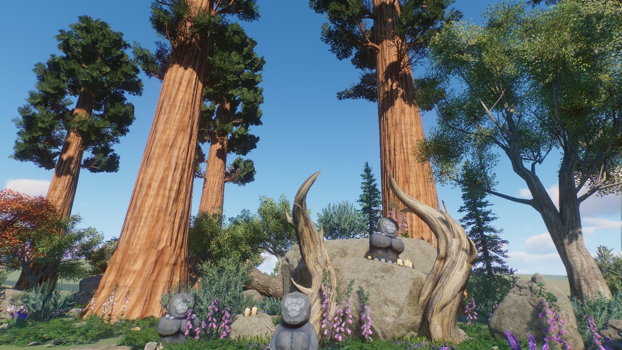 Forest Scenery 15
