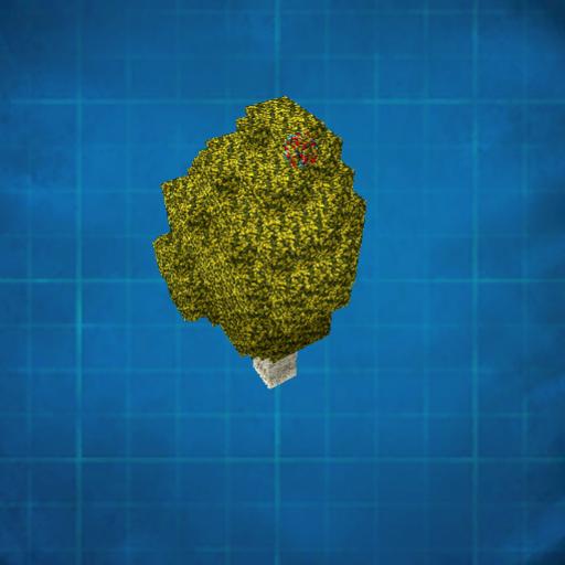 petit arbre