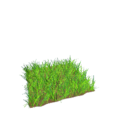grass patch for patios preview