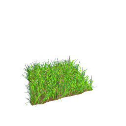 grass patch for patios