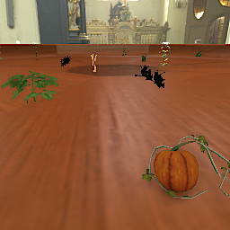 Crops & Edible Plants