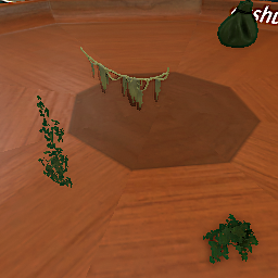 Vines & Creeping Plants