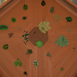 Bushes