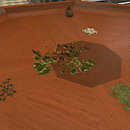 Vegetation