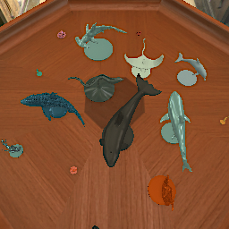 Aquatic Animals