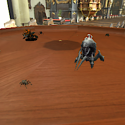 Beetles