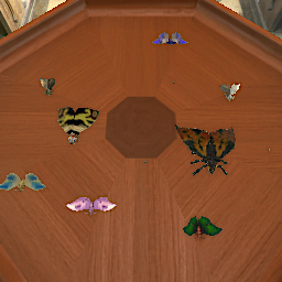 Butterflies/Moths