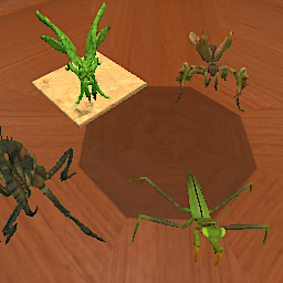 Mantises Animated