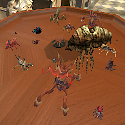 Various Insects