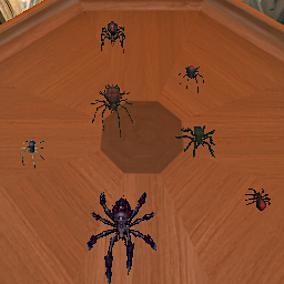 Black Spiders Animated
