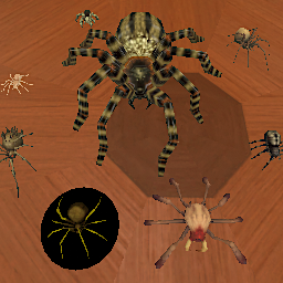 White/Yellow Spiders