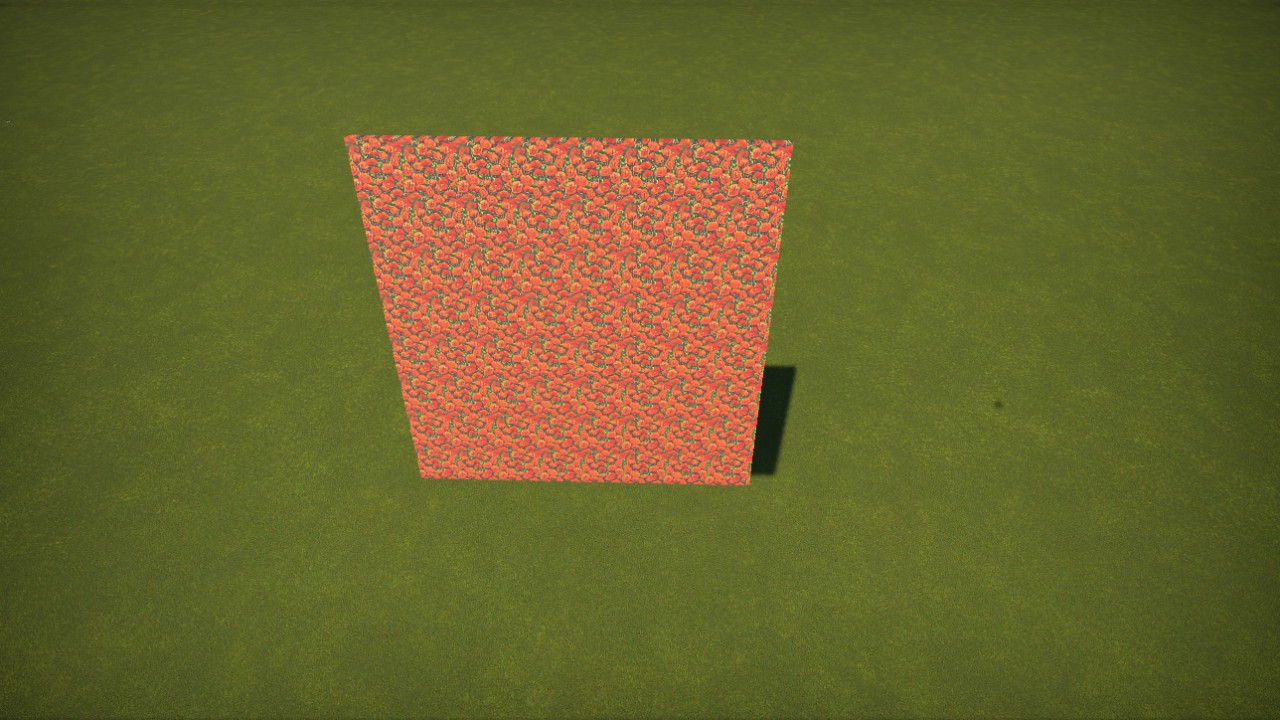 OZ-PoppyField8x8Flat