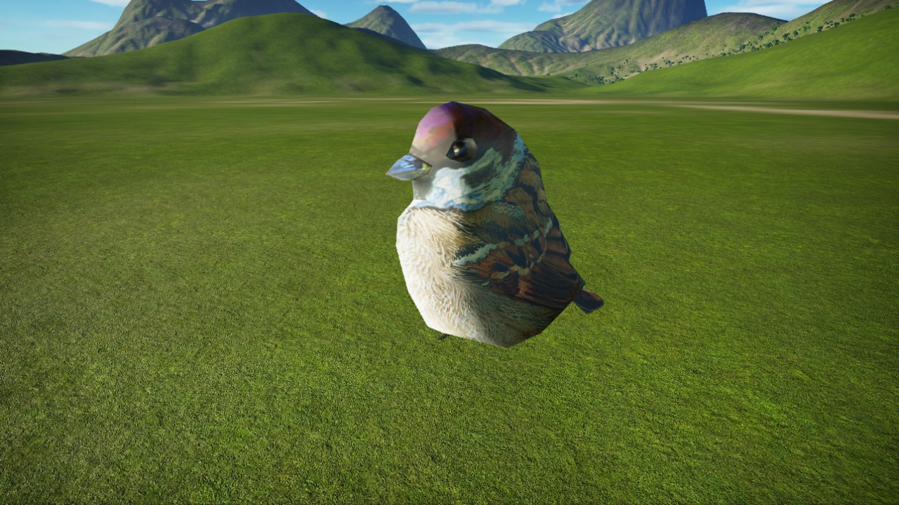 OZ-Birdie